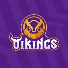 Công ty Cổ phần Vikings Việt Nam
