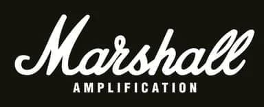 Công ty TNHH Marshall Amplification (Vietnam)